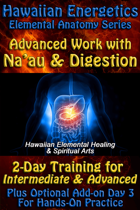 Workshop - Advanced Work with Na'au & Digestion